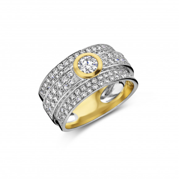Ringen - Wit goud - 161473