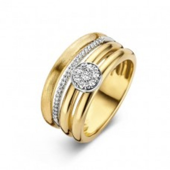 Ringen - Geel goud - 170838