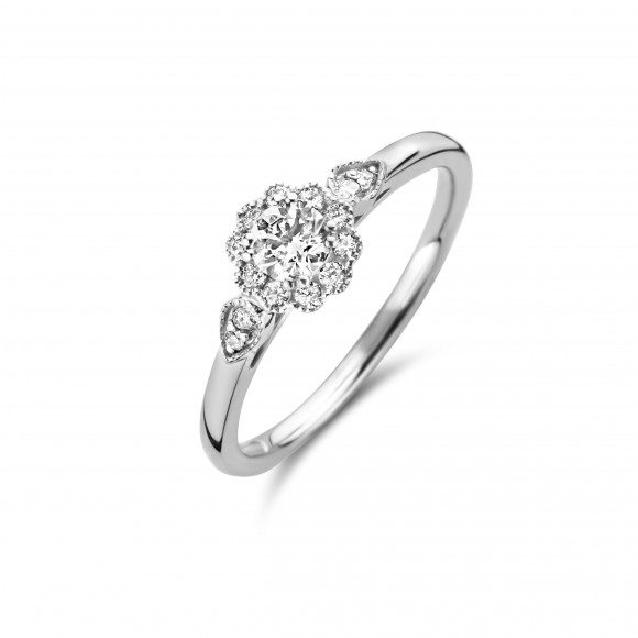 Ringen - Wit goud - 191507