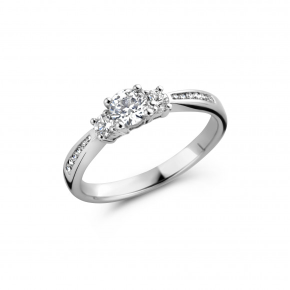 Ringen - Wit goud - 173311