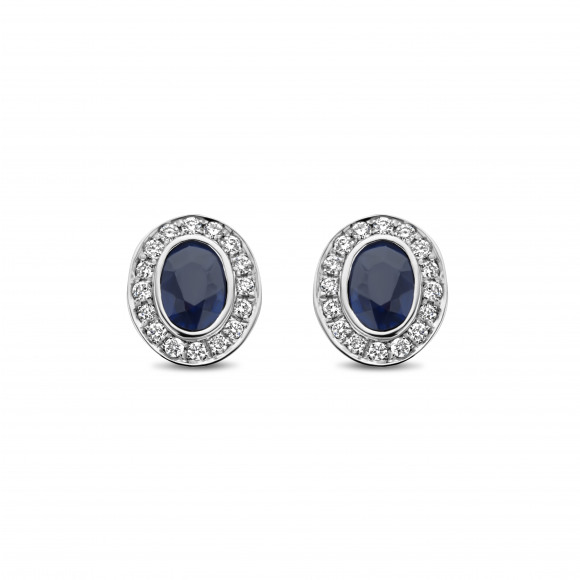 Oorringen - Wit goud - 173363