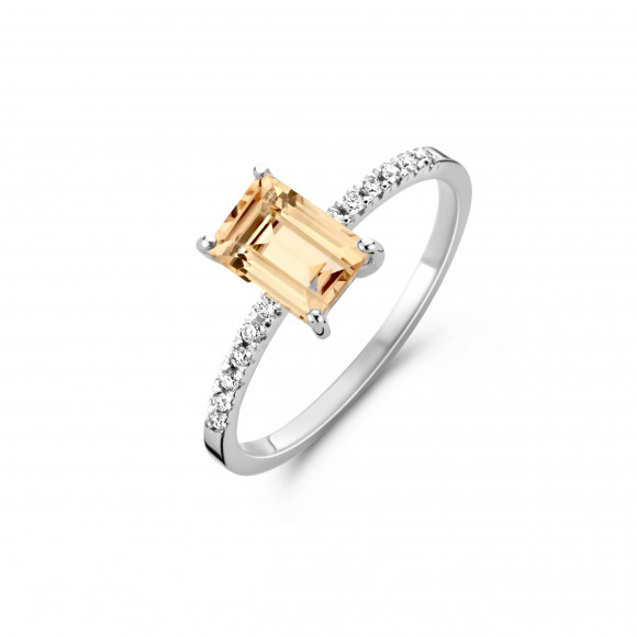 Ringen - Wit goud - 202103