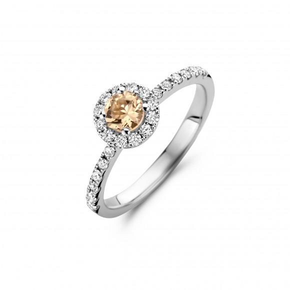 Ringen - Wit goud - 202098