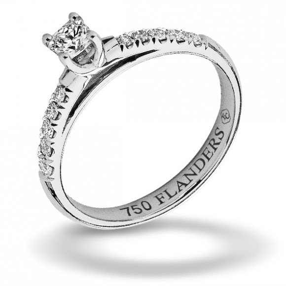 Ringen - Wit goud - 191971