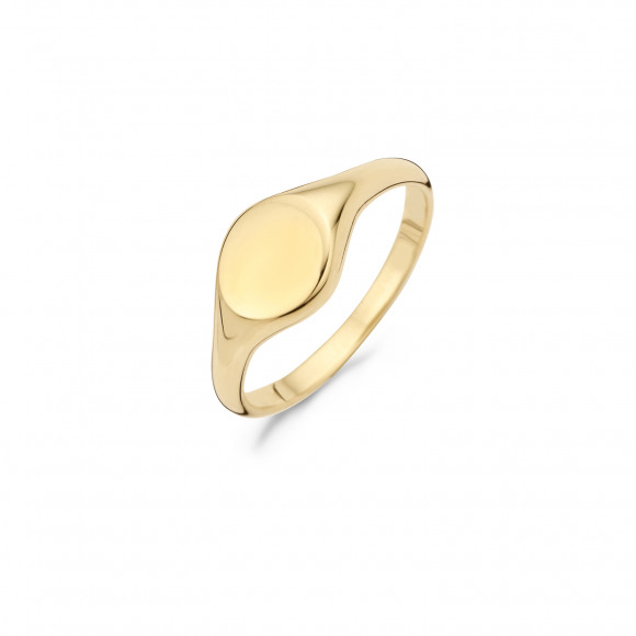 Ringen - Geel goud - 203121