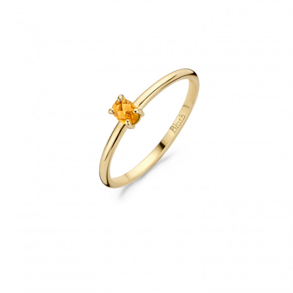Ringen - Geel goud - 202691