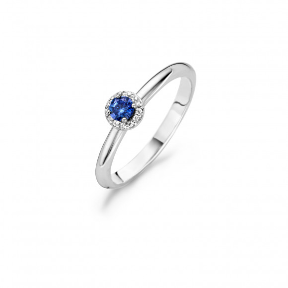 Ringen - Wit goud - 202660