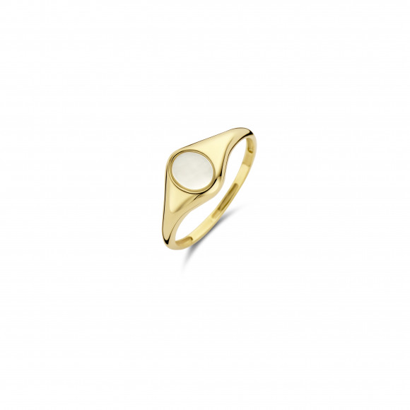 Ringen - Geel goud - 400825