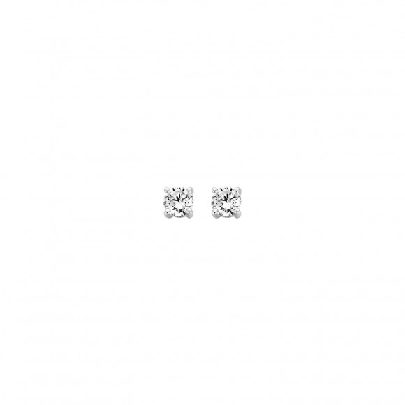 Oorringen - Wit goud - 401190