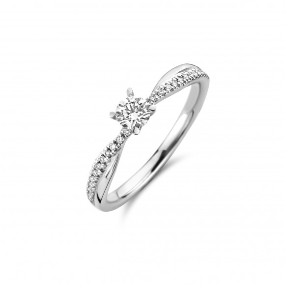 Ringen - Wit goud - 401299