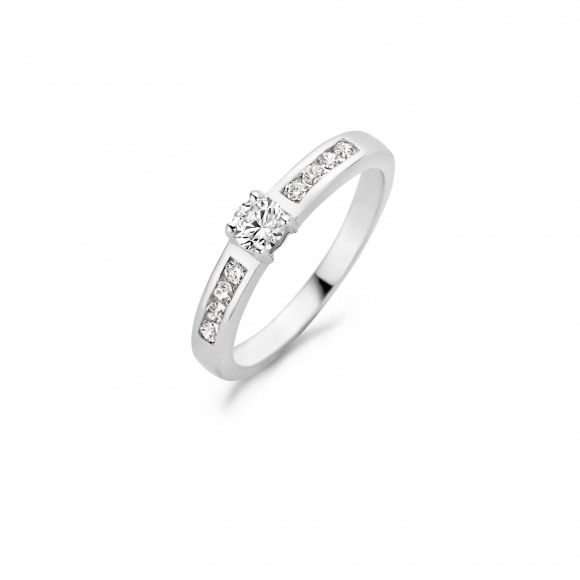 Ringen - Wit goud - 402173