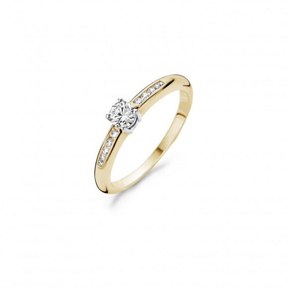 Ringen - Geel goud - 404182