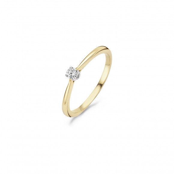 Ringen - Geel goud - 404242