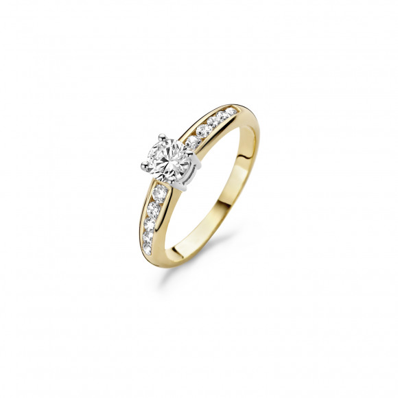 Ringen - Geel goud - 405232