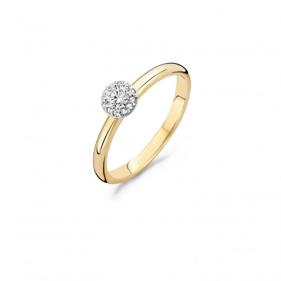 Ringen - Geel goud - 400070