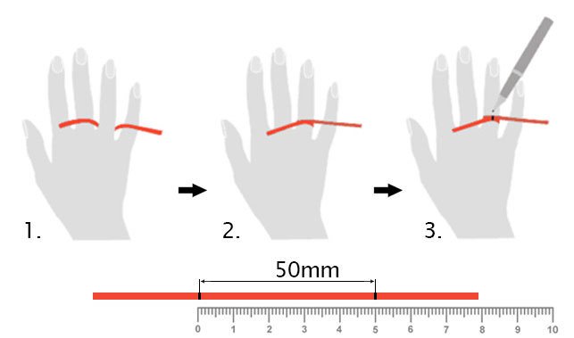 Ringmaat Opmeten