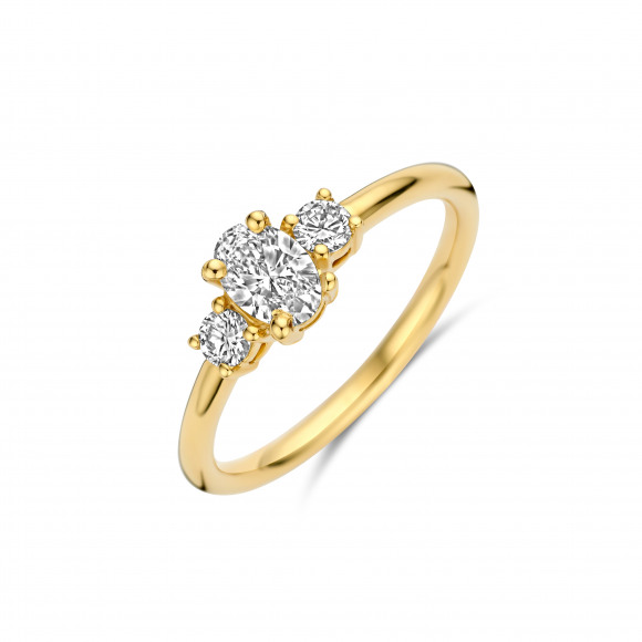 Ringen - Geel goud - 404395