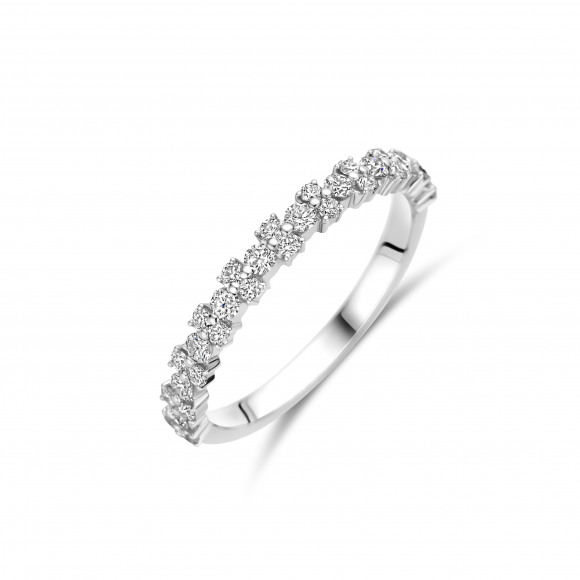 Ringen - Wit goud - 204774