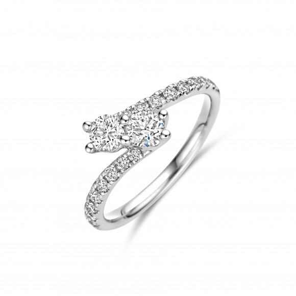 Ringen - Wit goud - 402760