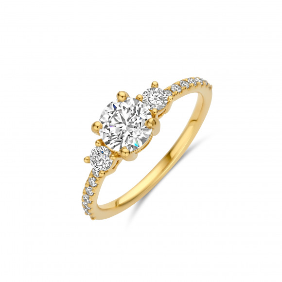 Ringen - Geel goud - 404098