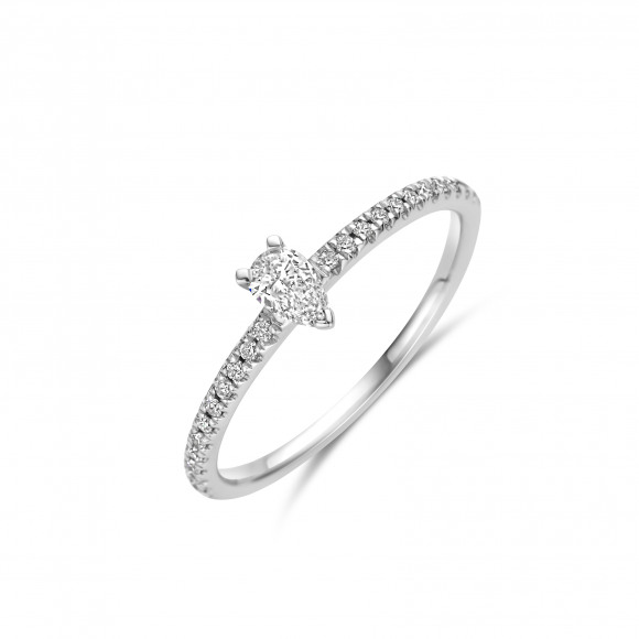 Ringen - Wit goud - 191503