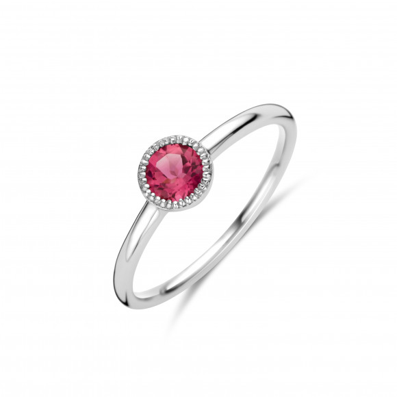Ringen - Wit goud - 204290