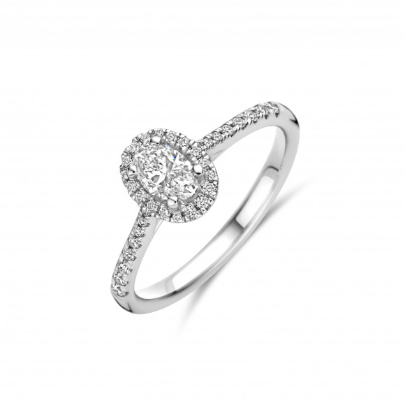 Ringen - Wit goud - 204465