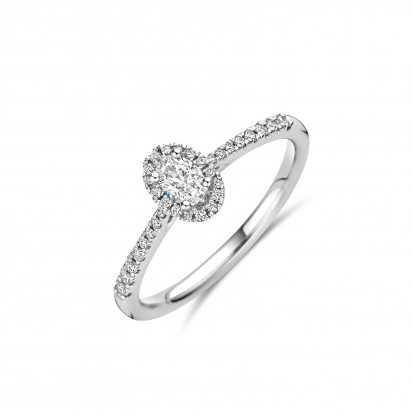 Ringen - Wit goud - 401300