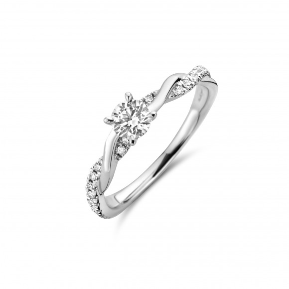 Ringen - Wit goud - 402754
