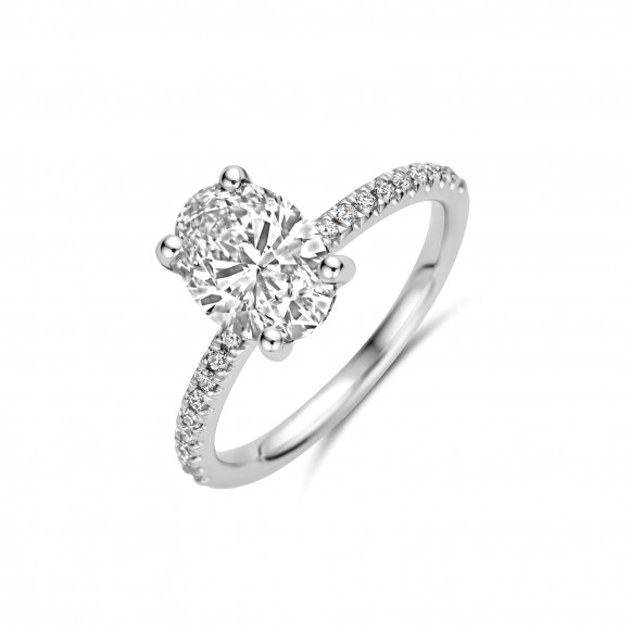 Ringen - Wit goud - 404385