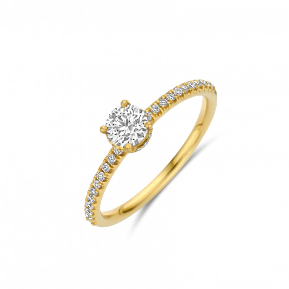 Ringen - Wit goud - 404386