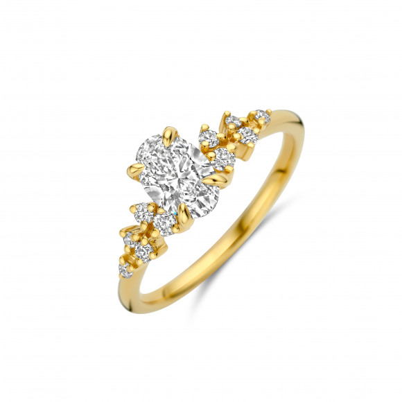 Ringen - Geel goud - 404390