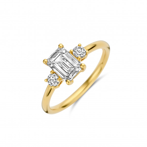 Ringen - Geel goud - 404392