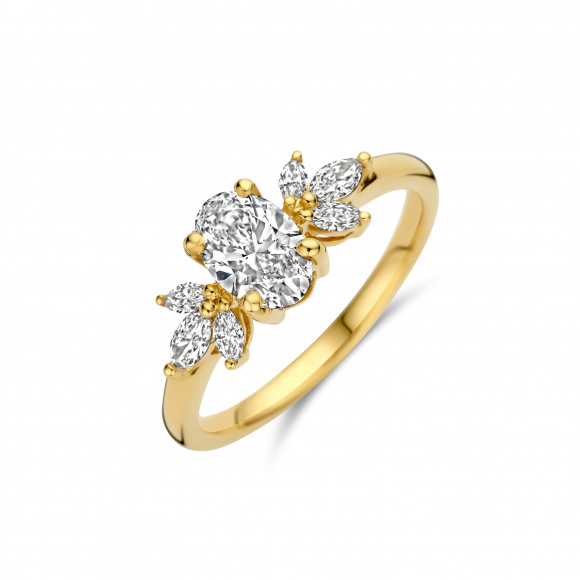 Ringen - Geel goud - 404393