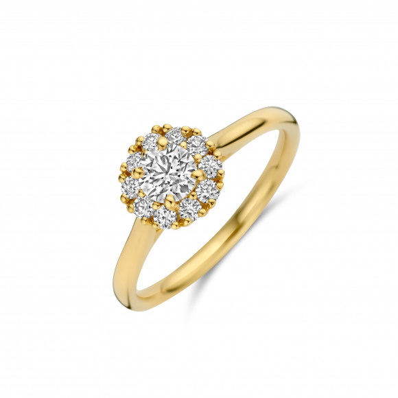 Ringen - Geel goud - 404394