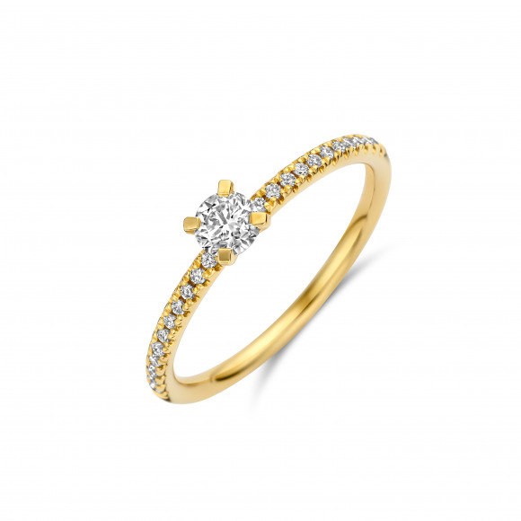 Ringen - Geel goud - 404718