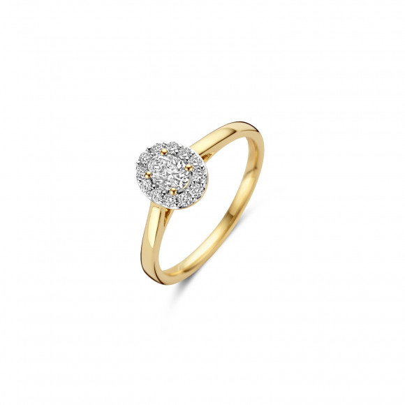 Ringen - Geel goud - 404428