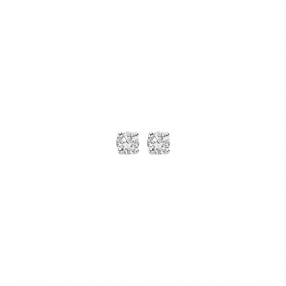 Oorringen - Wit goud - 404430