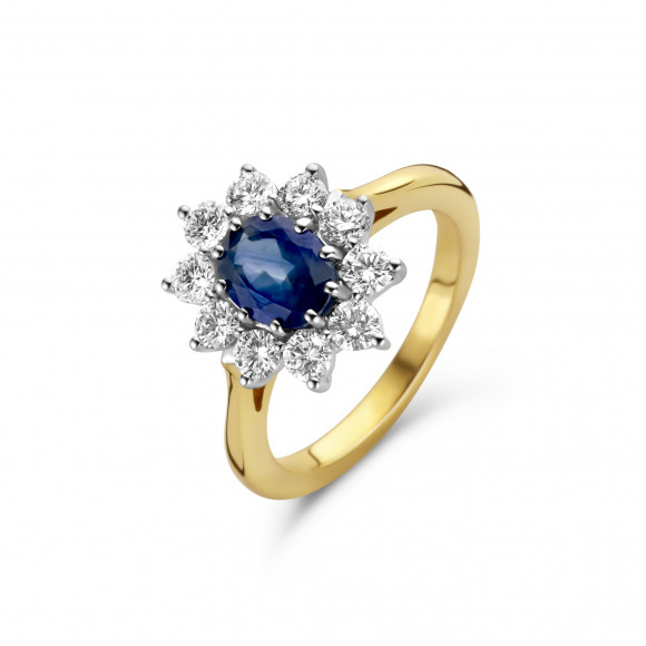 Ringen - Geel goud - 403320