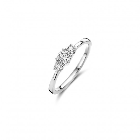 Ringen - Wit goud - 404602