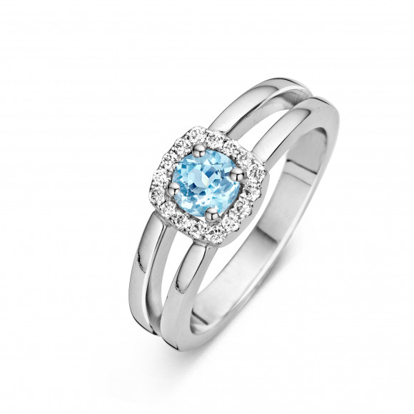Ringen - Wit goud - 204550