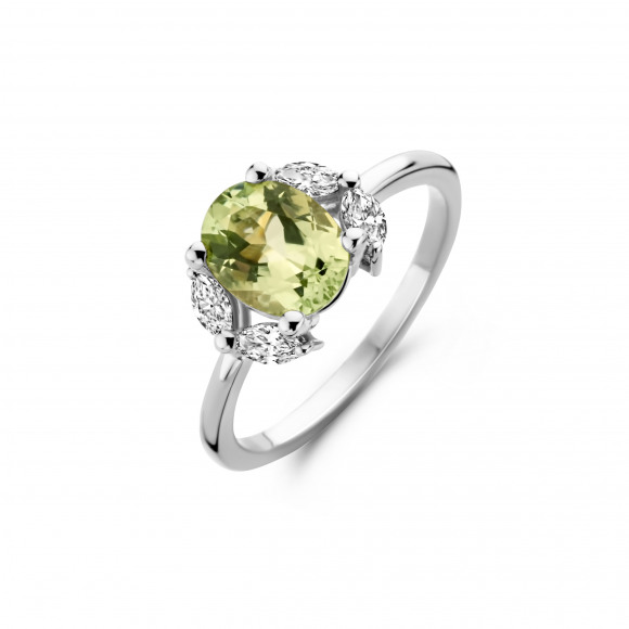 Ringen - Wit goud - 401646