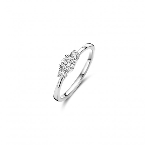Ringen - Wit goud - 404665