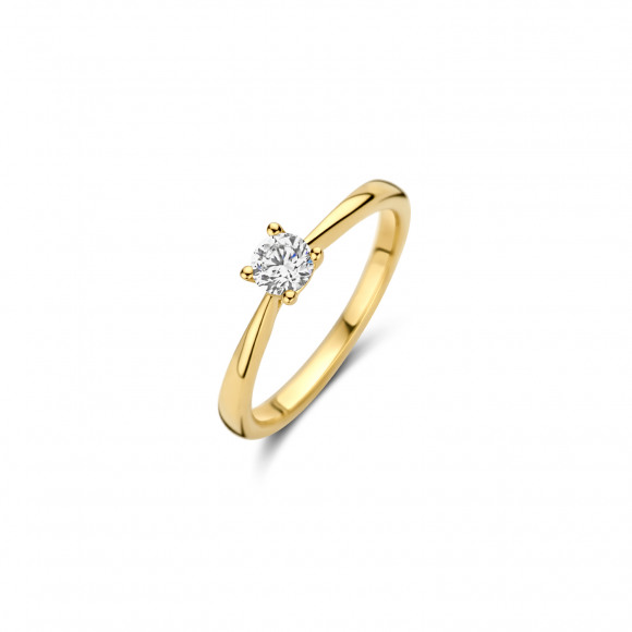 Ringen - Geel goud - 403399