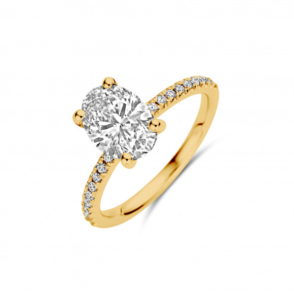 Ringen - Geel goud - 404385