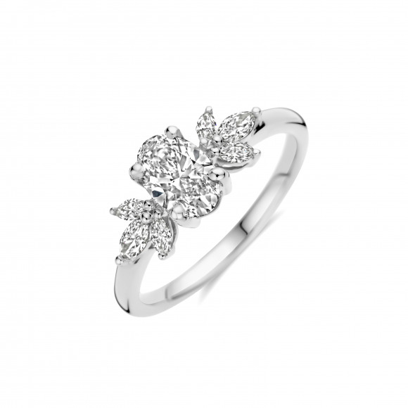 Ringen - Wit goud - 404393