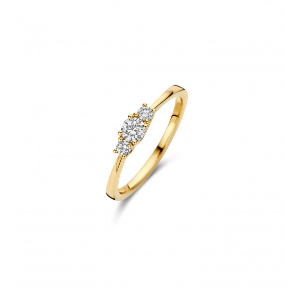 Ringen - Geel goud - 403413