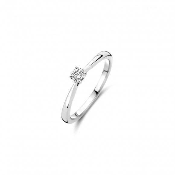 Ringen - Wit goud - 404513