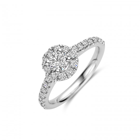 Ringen - Wit goud - 404384
