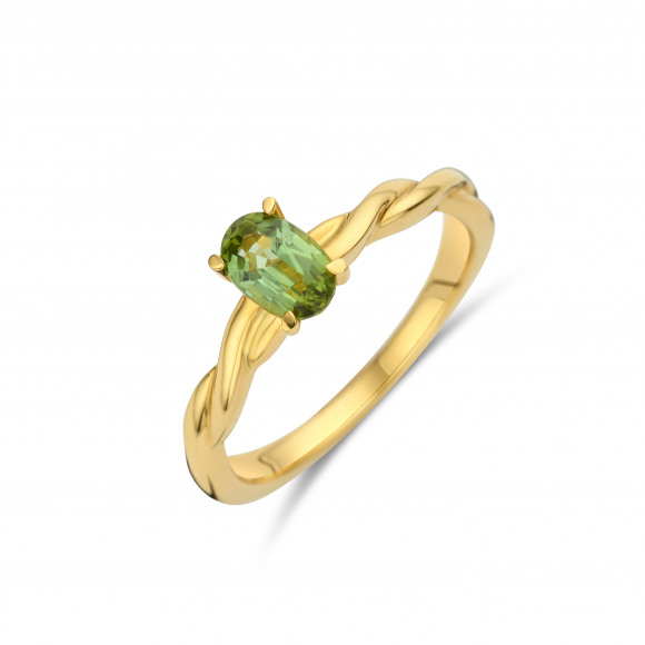 Ringen - Geel goud - 401865
